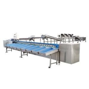 Material Box Type Vegetable and Fruit Weight Grading Machine